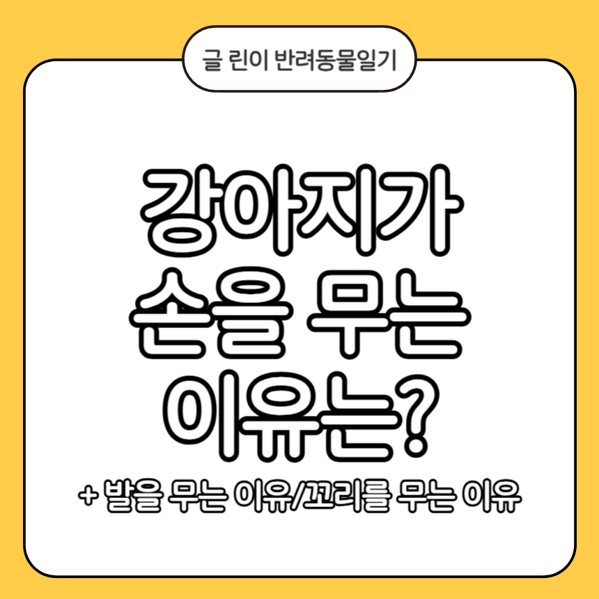 강아지가 손을 무는 이유