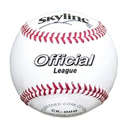 프로야구 공인공