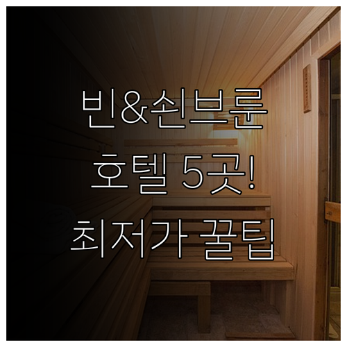 빈 국립 오페라 극장 쇤브룬 궁전 근..