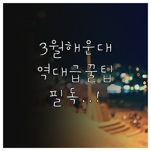 3월 부산 해운대 여행지 추천 및 명..