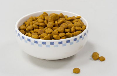 애완동물 음식.