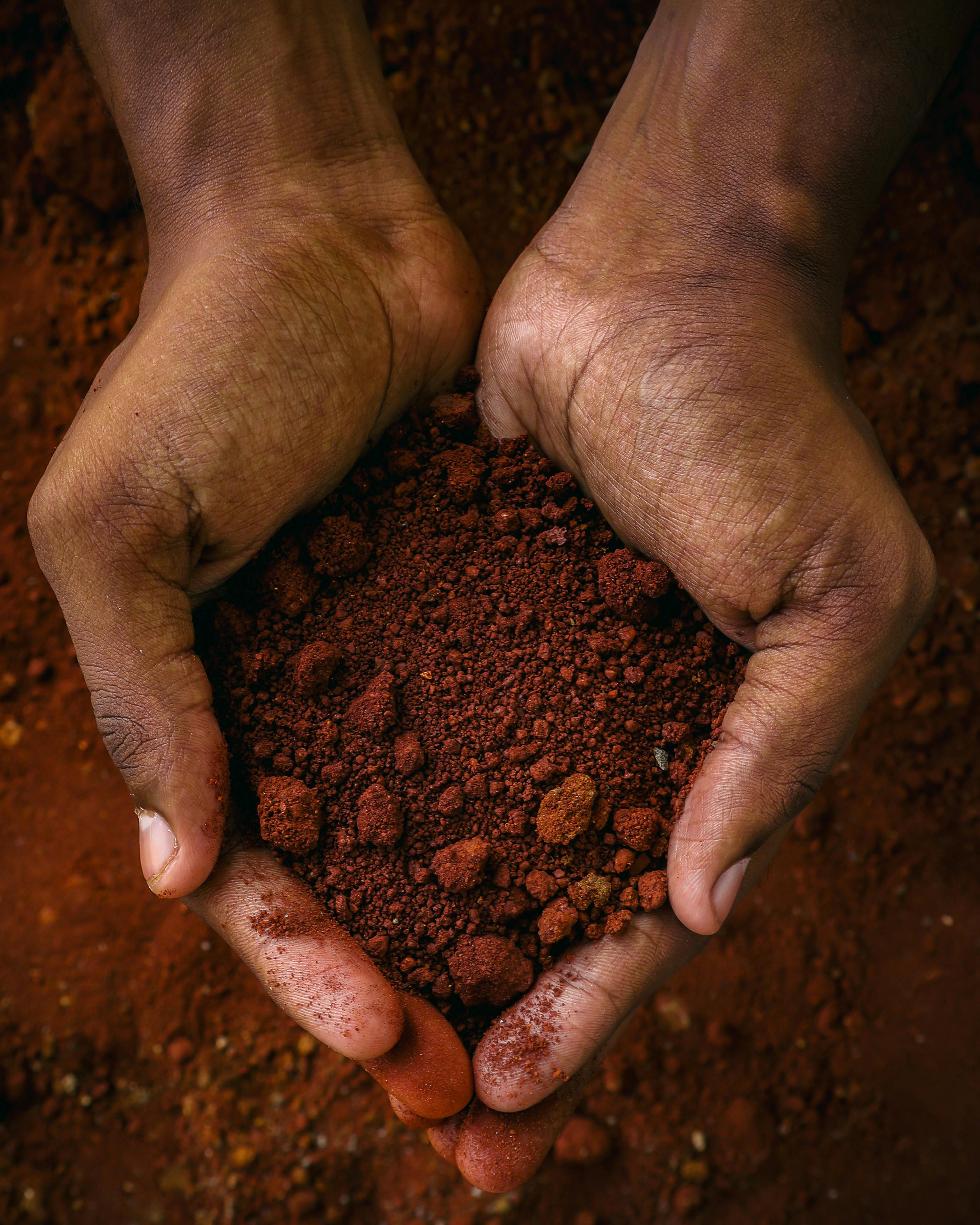 손에 쥔 토양(흙)