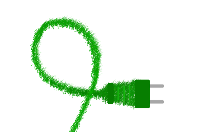 빈집 활용으로 실현하는 녹색 직업 생태계 구축 전략