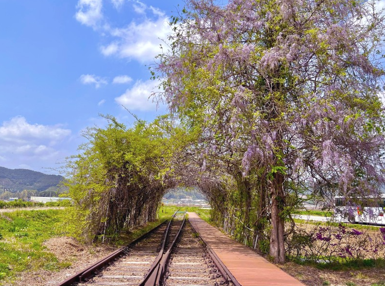 남원-구-서도역