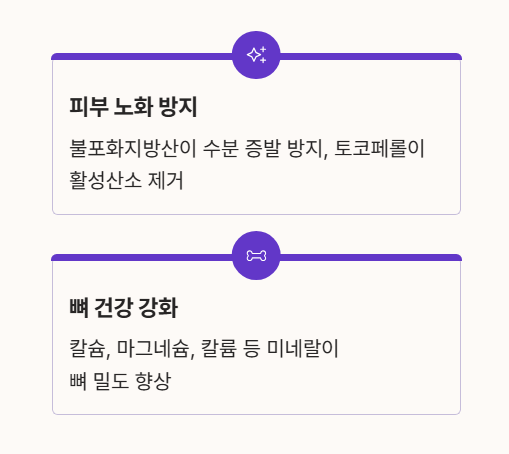 마카다미아의 효능 : 피부 노화 방지, 골다공증 예방