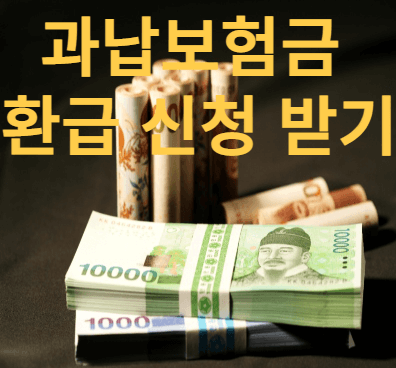 과납보험료-환급-신청