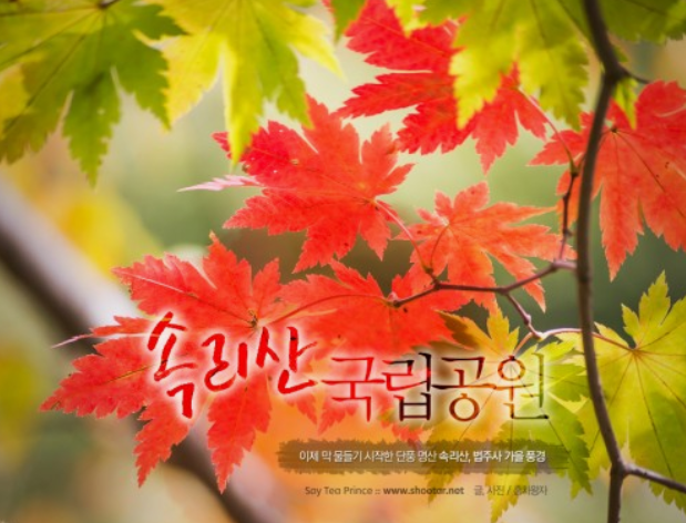 전국단풍명소