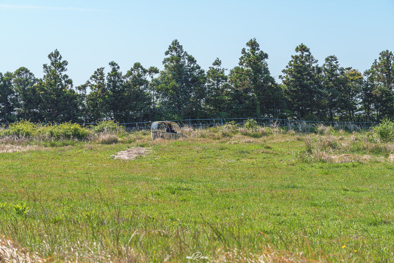 제주 레일바이크