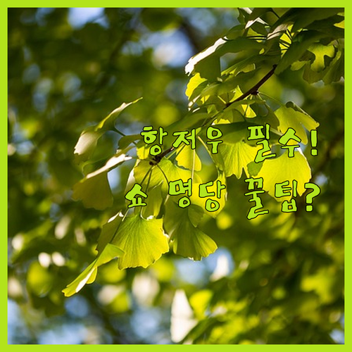 지하철 초근접 항저우 호텔 추천 5곳..