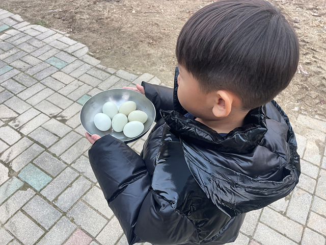 달걀