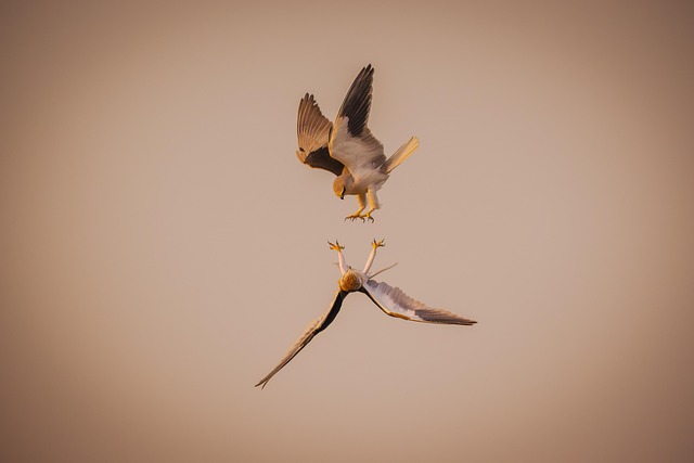 40대 여자선물 추천