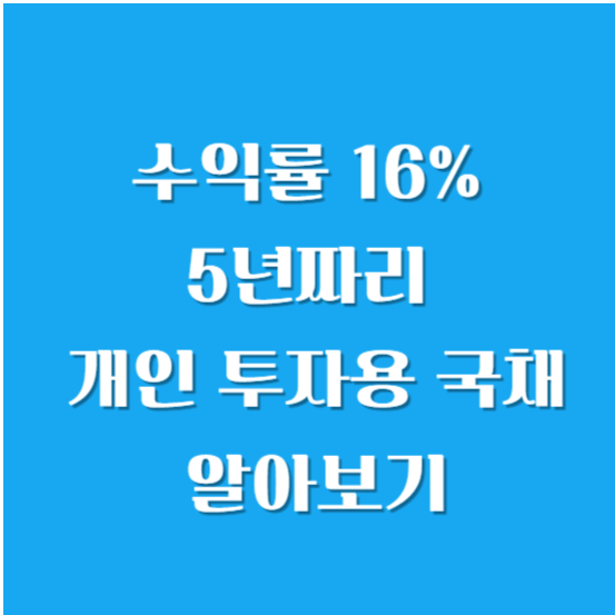 수익률 16% 5년짜리 개인 투자용 국채 알아보기
