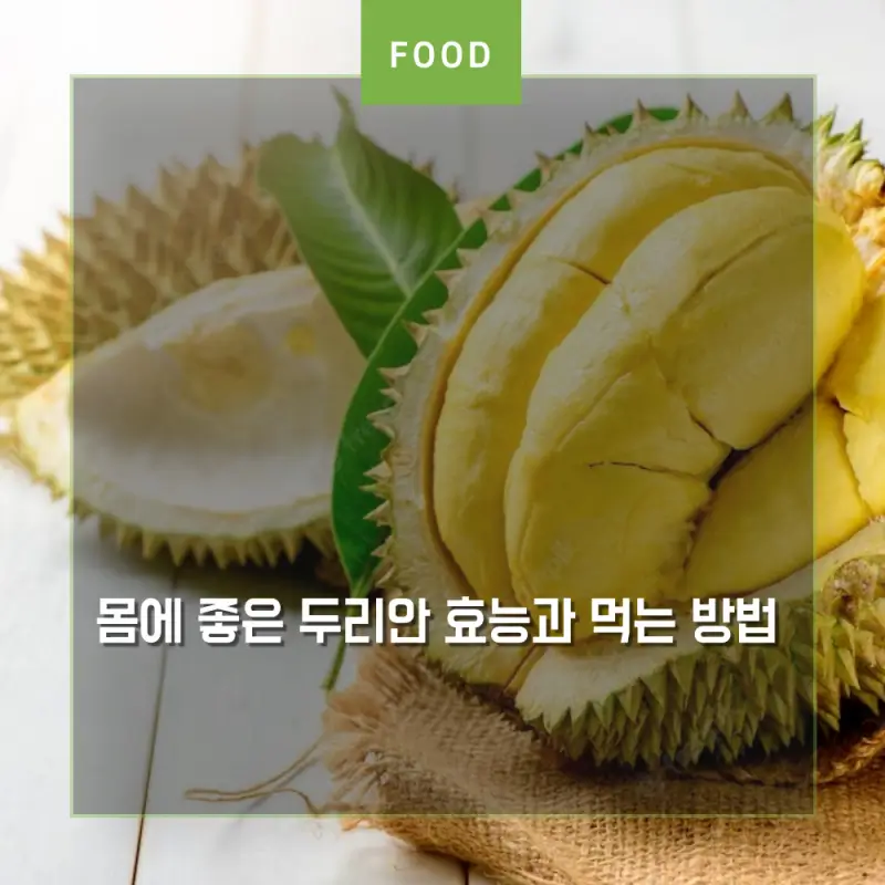 두리안 과일 썸네일