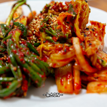 파김치 효능