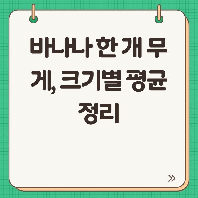 바나나 한 개 무게, 크기별 평균 정리