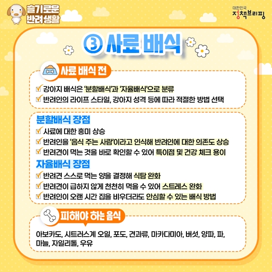 강아지배식방법