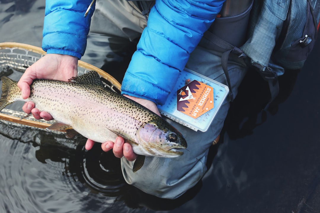 Trout