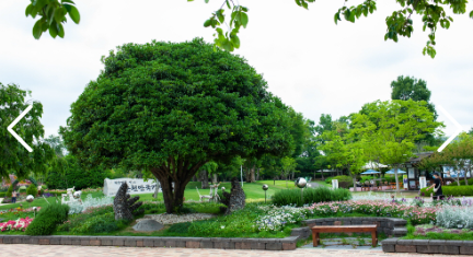 순천만 국제정원박람회 가는길 예매방법, 입장료할인
