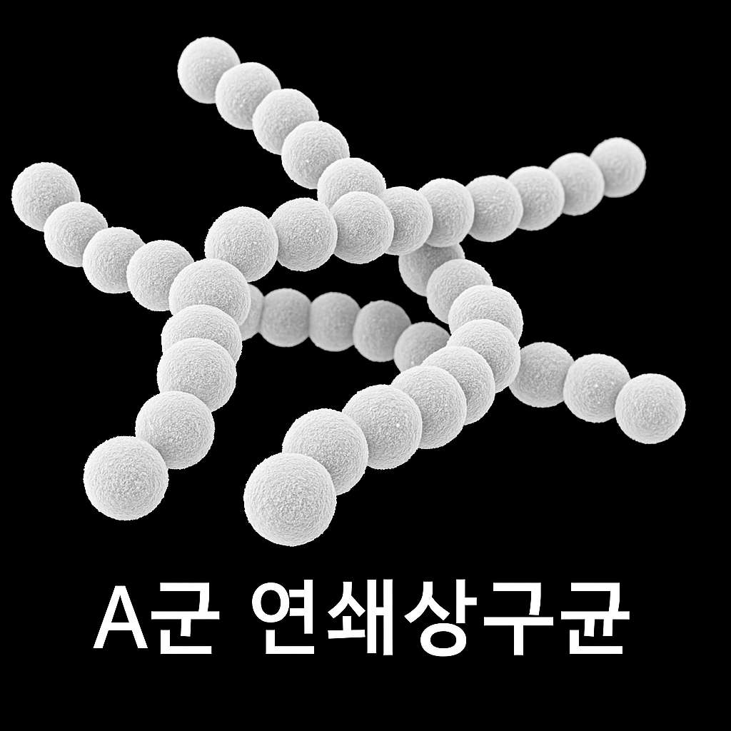 A군 연쇄상구균