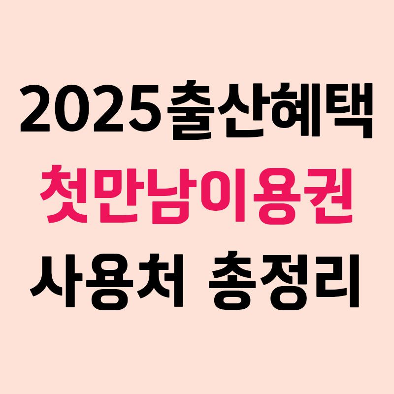 2025 출산혜택 첫만남이용권 사용처