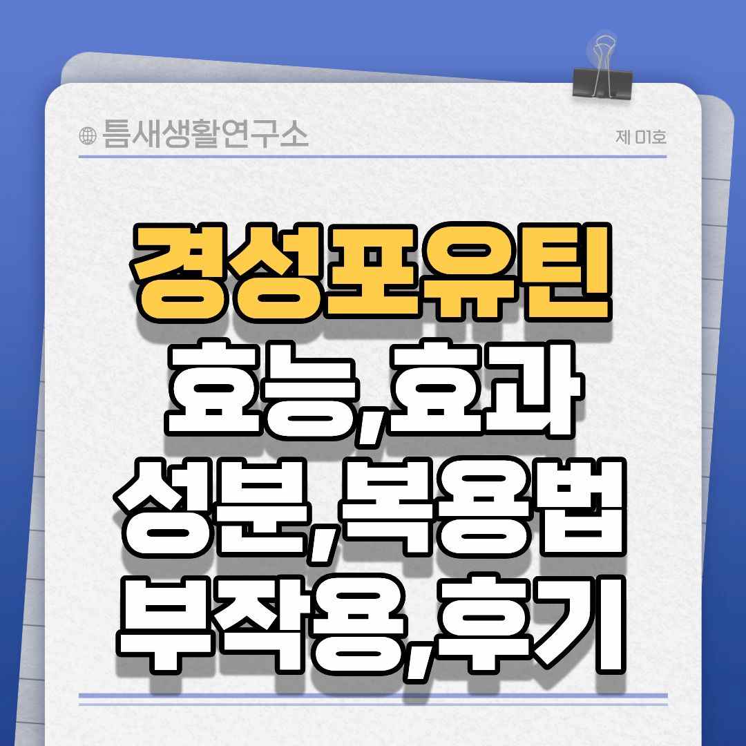 경성포유틴-썸네일