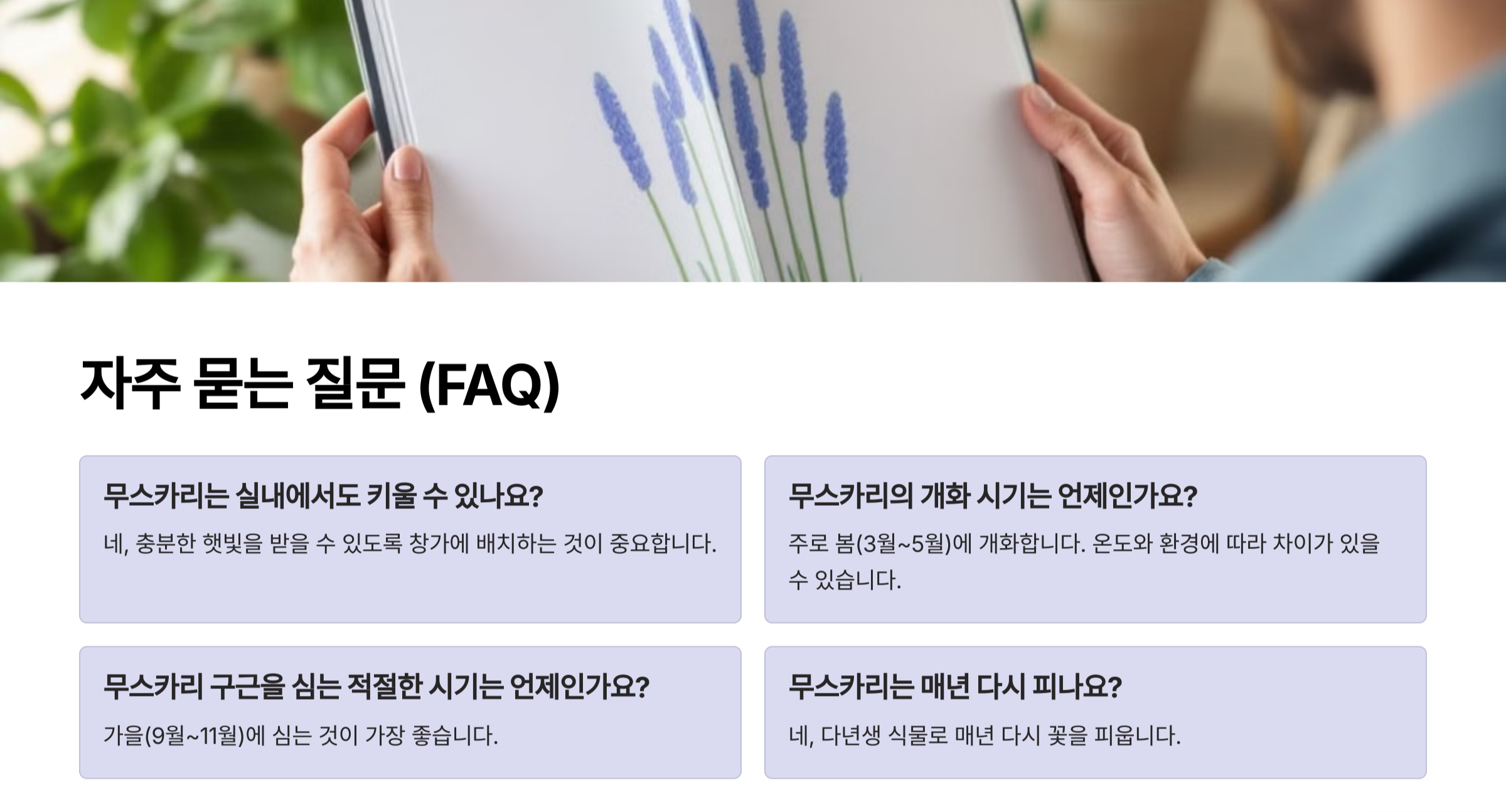 무리카리 꽃 사진