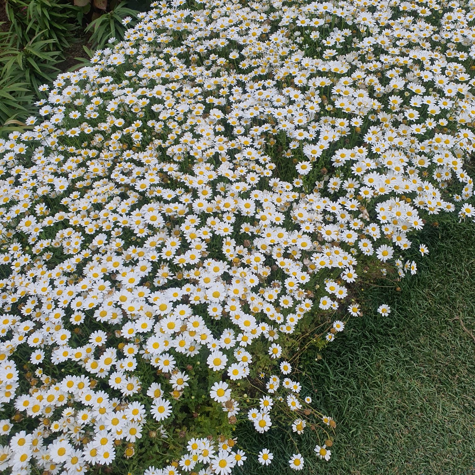 순천만국가정원