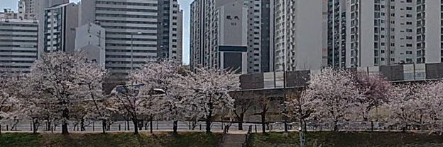 Alt 속성 문제 해결 설명 이미지