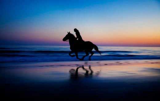 해변에서 말 달리는 모습