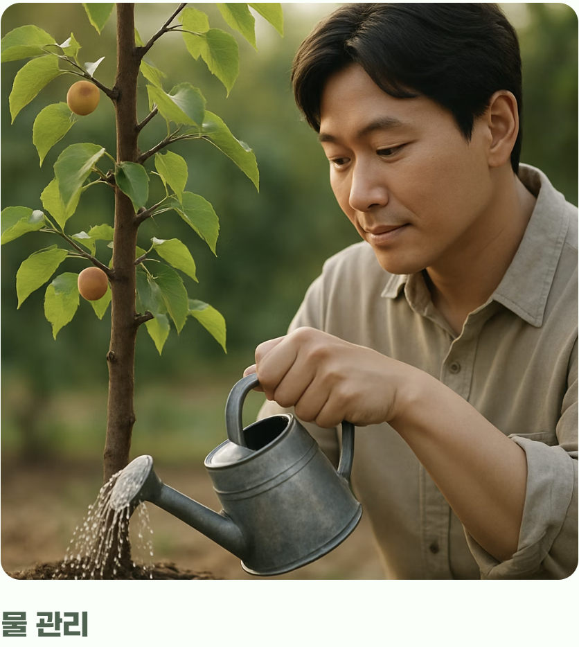 필요한 만큼만, 똑똑한 물주기와 거름주기