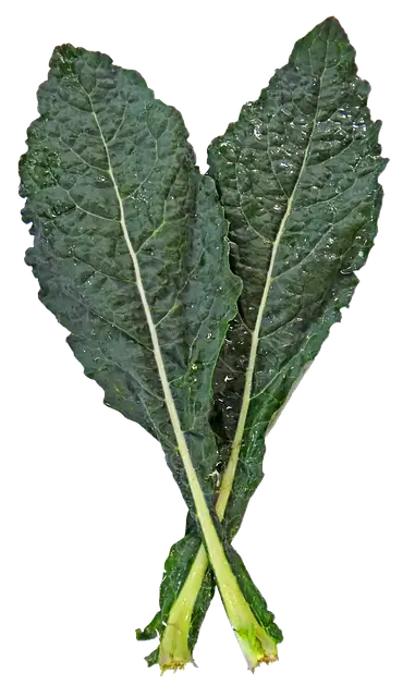 비타민 K2의 효능과 약사 유튜버 추천 제품 총정리