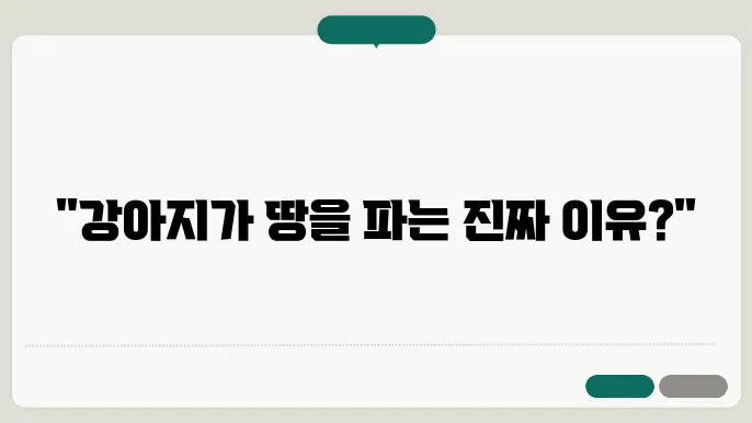 강아지 땅파는 행동 및 주저 앉는 이유 알아보기