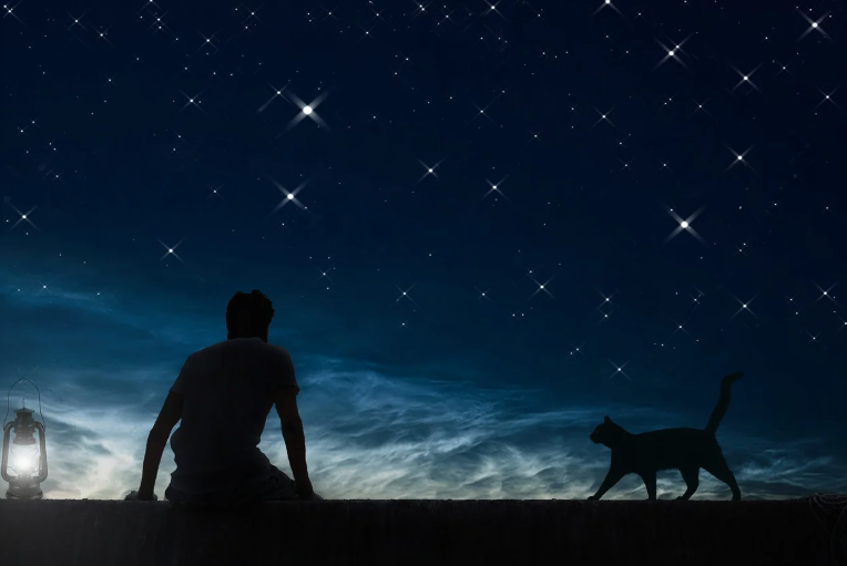 열대야 극복법 (쿨링제품, 꿀팁, 숙면)