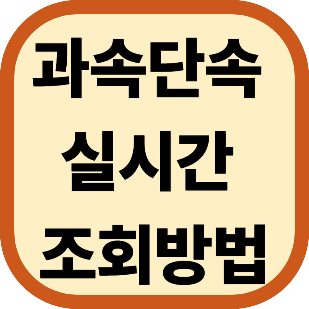 과속단속 실시간 조회방법