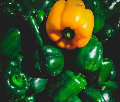 눈에 좋은 음식 10가지