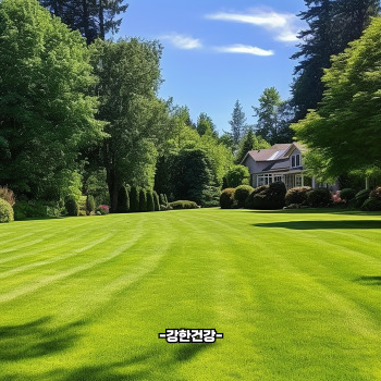 대장동 항소 포기