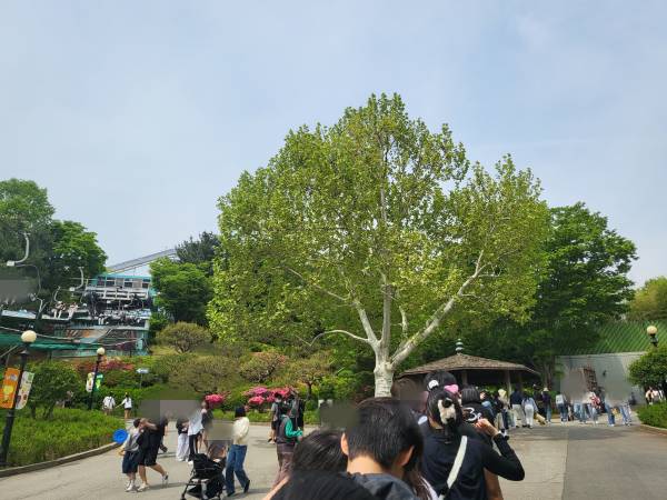 판다월드-웨이팅