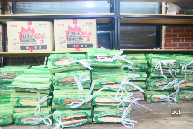 경기-연천-숲속의쉼터-캠핑장-예약-방법-애견-동반-가격-주소-시간-후기