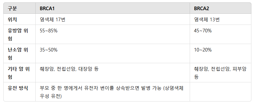 BRCA1 &amp; BRCA2 유전자란