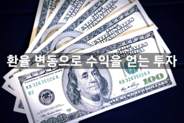 달러 투자 이익