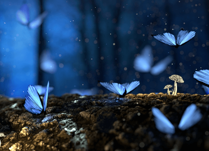 자식이 죽는 꿈해몽