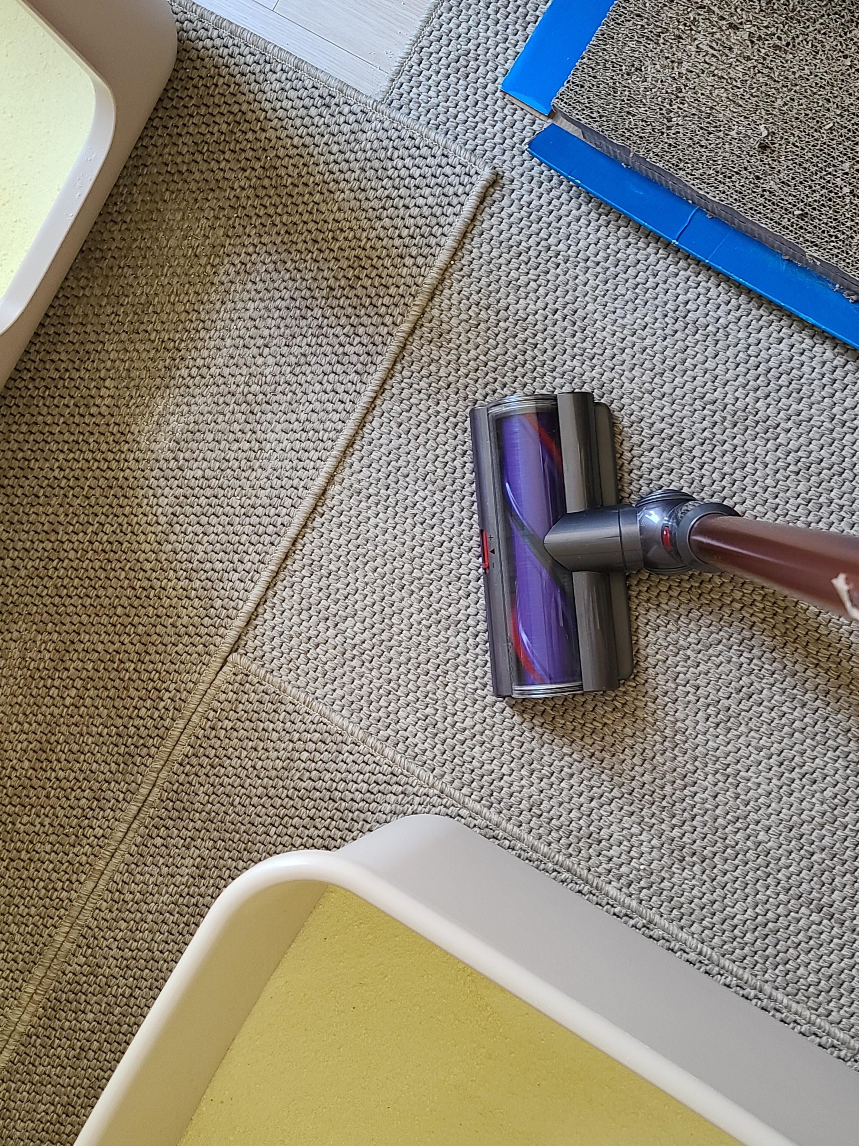 9냥이 집사의 눈뜨면 하는 일들.