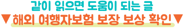 여행자보험-청구서류-정리-병원비-휴대품-파손-항공기-지연-취소