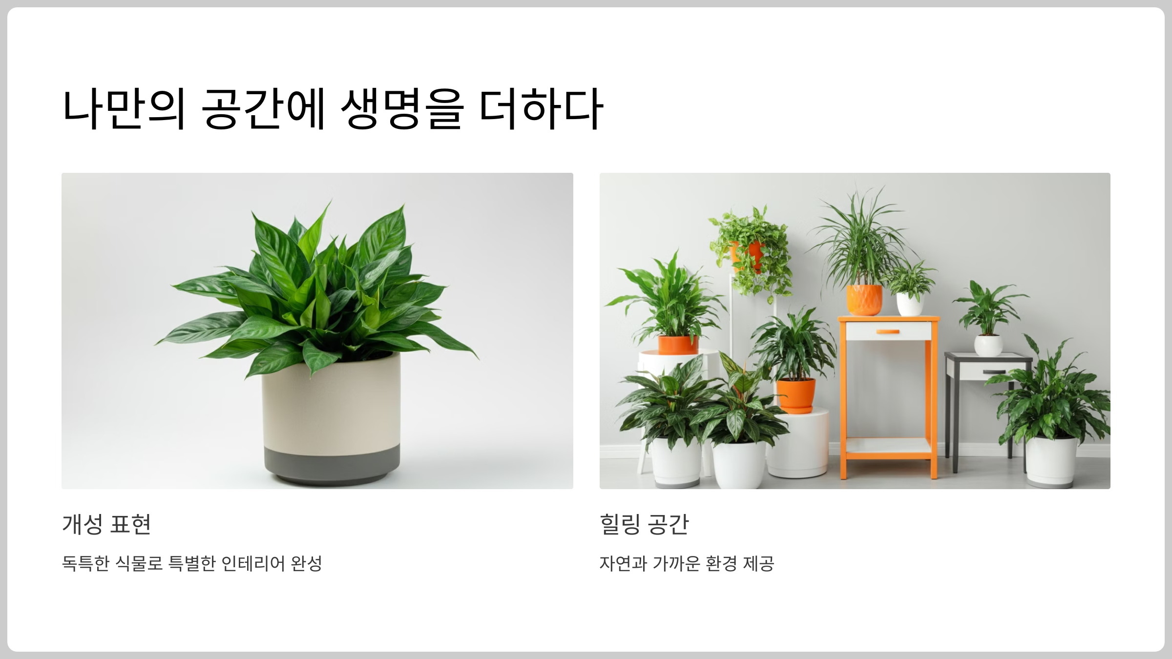 나만의 공간에 생명을 더하다