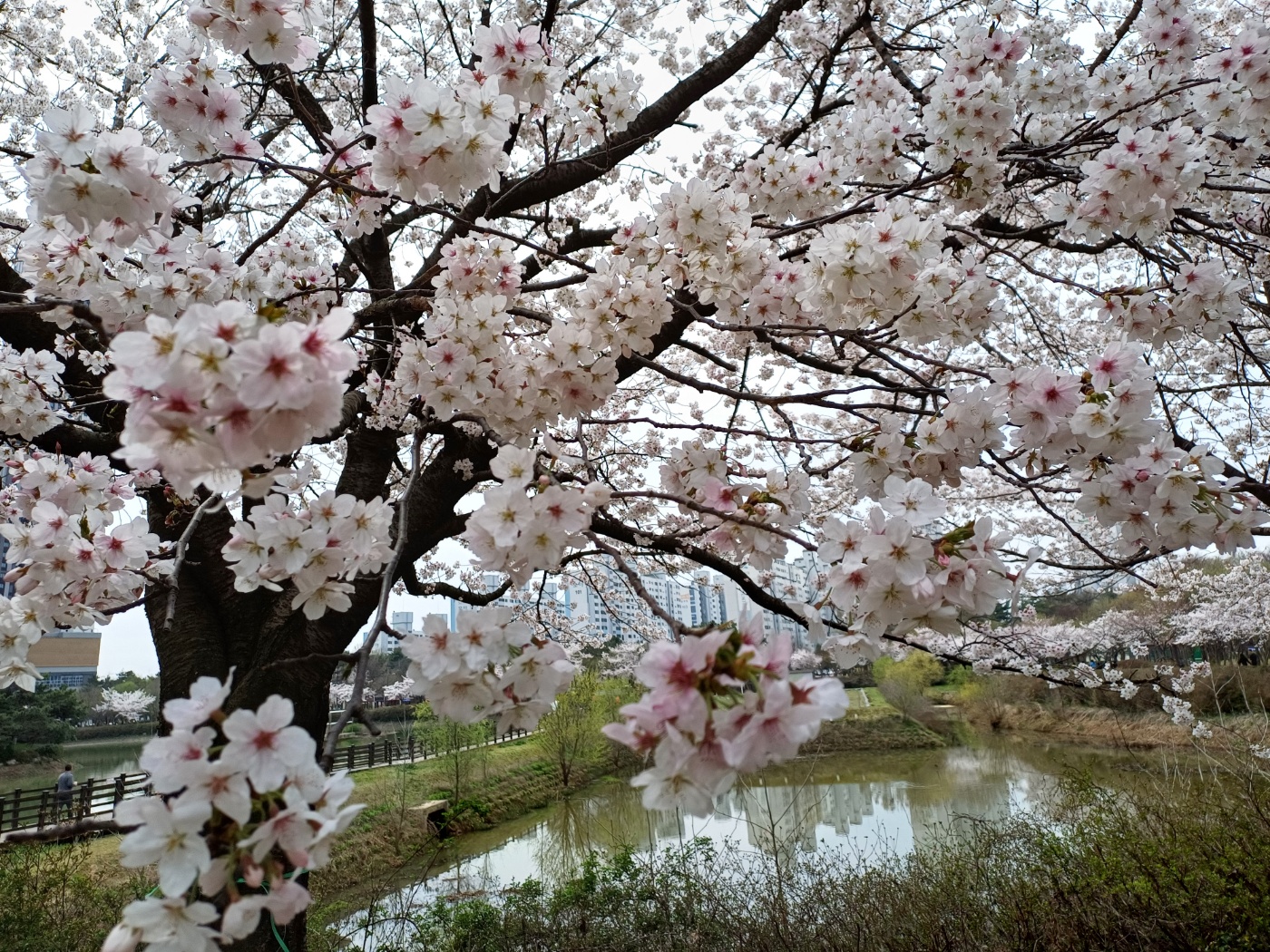 쌍암공원