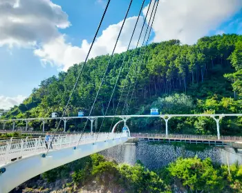 해랑열차 홈페이지, 가격20