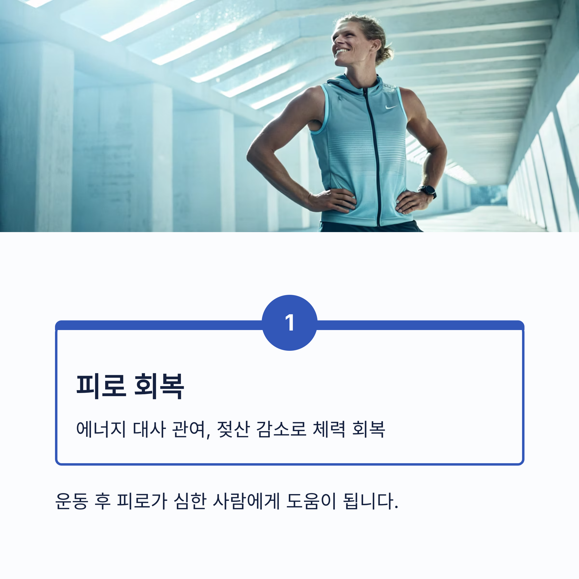 알부민의 효능 7가지｜면역력&middot;부종 개선&middot;간 기능 회복까지, 건강의 핵심 단백질