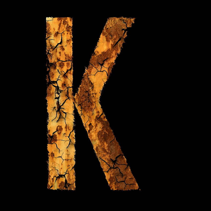 K-pop의 역사와 미치는 영향을 알고있나요