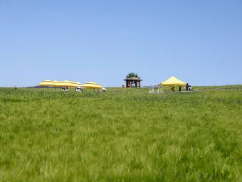 고창 맛집 베스트10 숨겨진 나만 아는 맛집_13