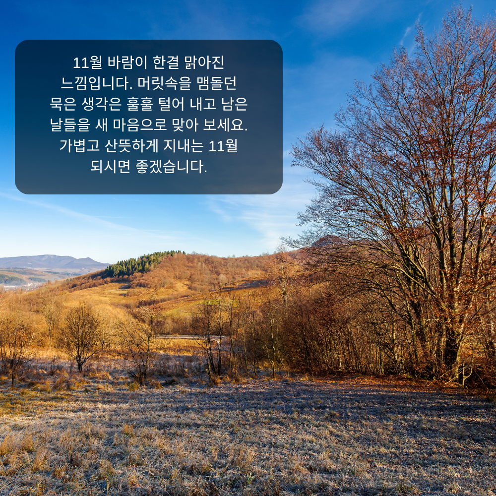 11월 인사말 21 맑아진 바람 11월 새 마음 인사말 이미지